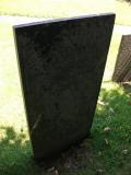 image of grave number 262398